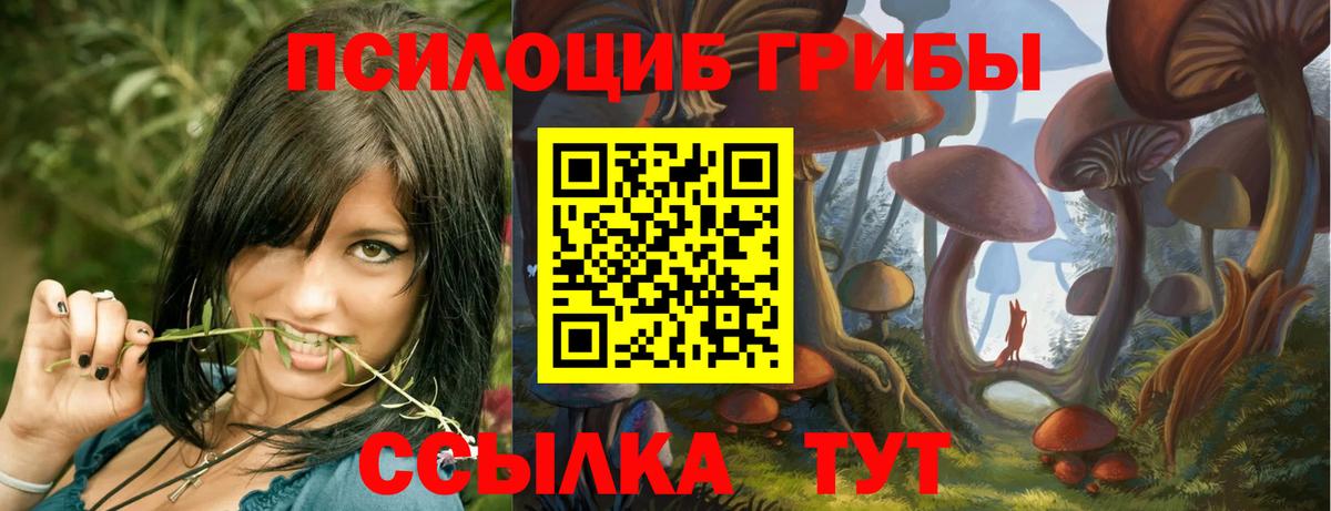 Псилоцибиновые грибы Psilocybine cubensis  Псилоцибиновые грибы GOLDEN TEACHER  Вход с VPN  Буйнакск 
