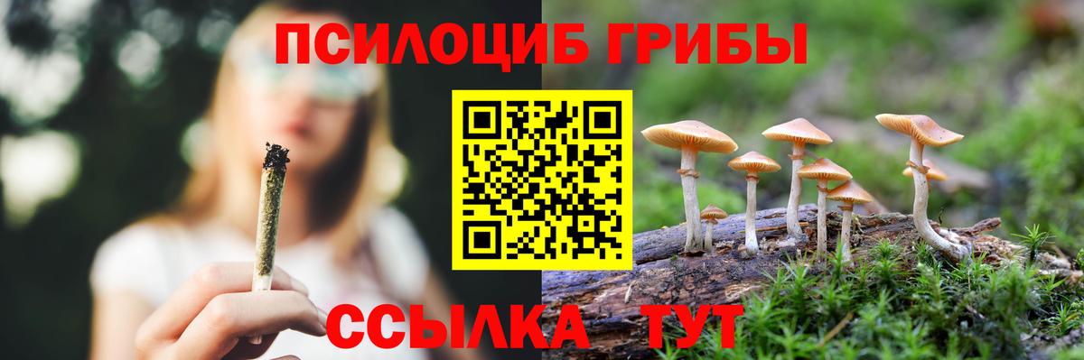 Псилоцибиновые грибы Magic Shrooms Буйнакск